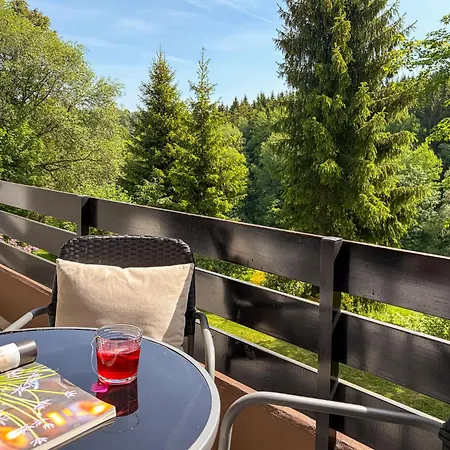 Appartement Freizeit Winterberg